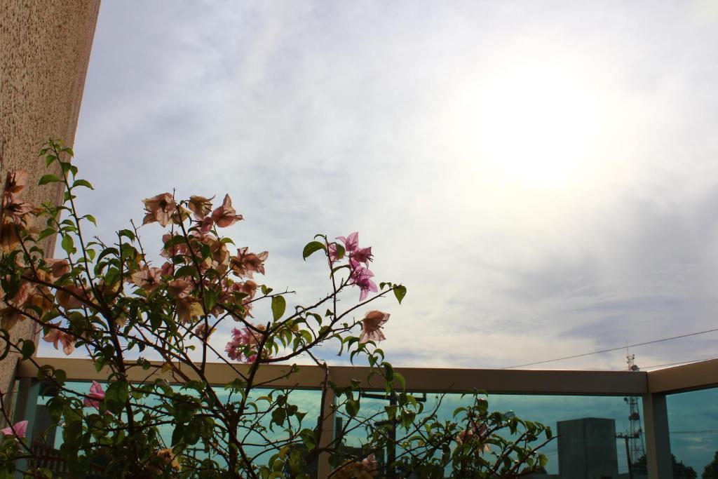 Quati Hotel 3*